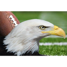 For The Birds - Special Edition