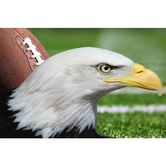 For The Birds - Special Edition