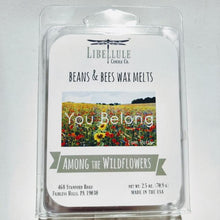 Among the Wildflowers