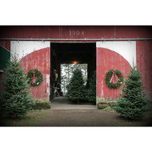 Christmas Tree Shopping