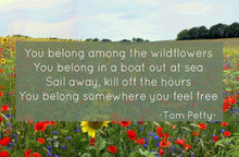 Among the Wildflowers